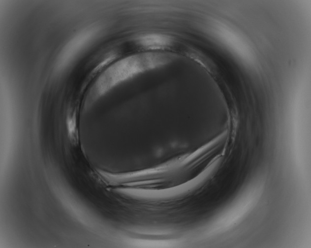 X0000086731198200705041341