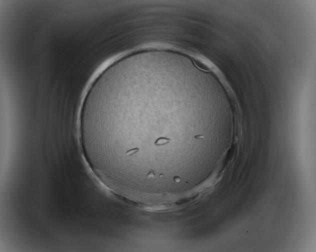 X0000086731199200705041341