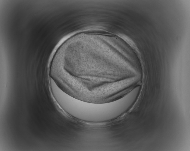 X0000086731200200705041341