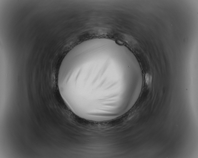 X0000086731203200705041341