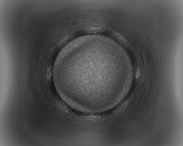 X0000086731204200705041341