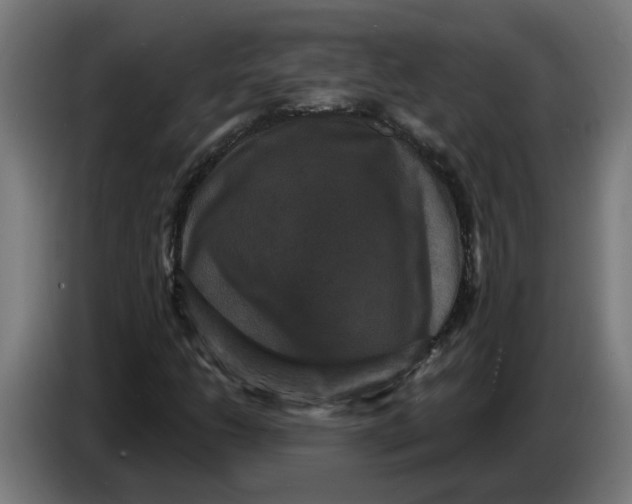 X0000086731206200705041341