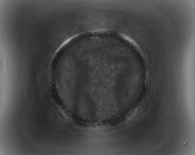 X0000086731208200705041341