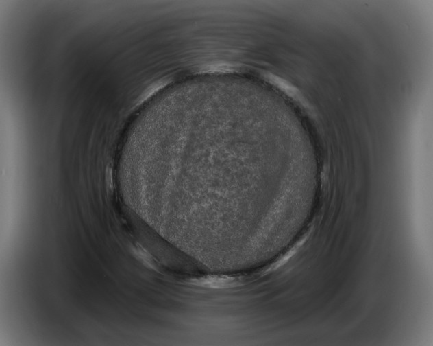 X0000086731209200705041341