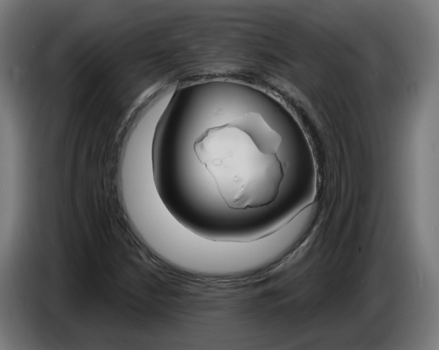 X0000086731210200705041341