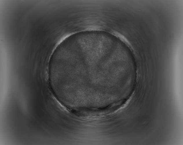 X0000086731212200705041341