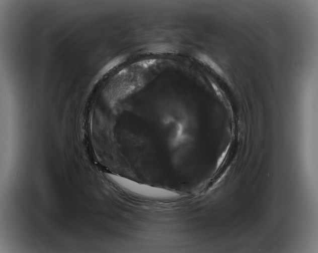 X0000086731213200705041341