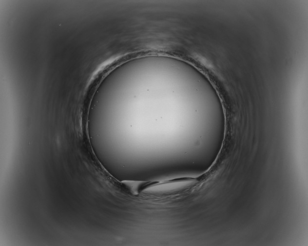 X0000086731214200705041341