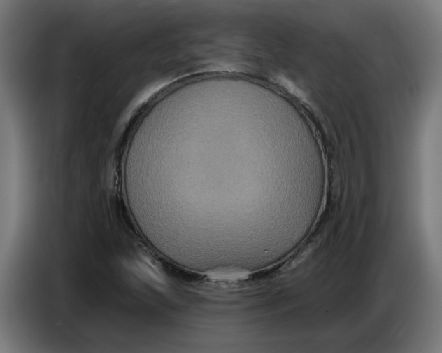 X0000086731215200705041341