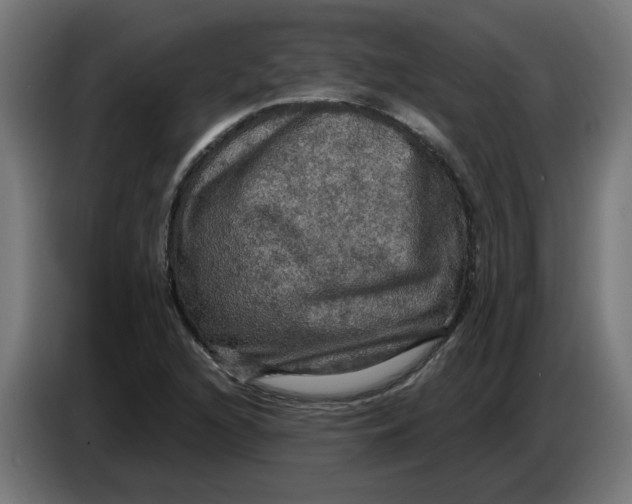 X0000086731216200705041341