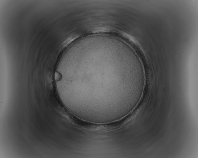 X0000086731217200705041341