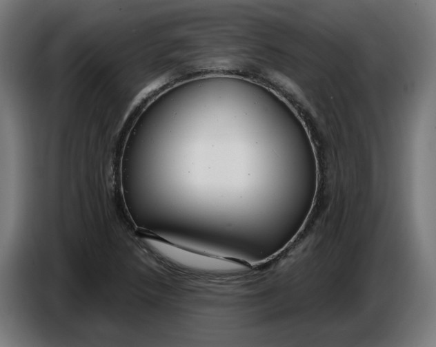 X0000086731218200705041341