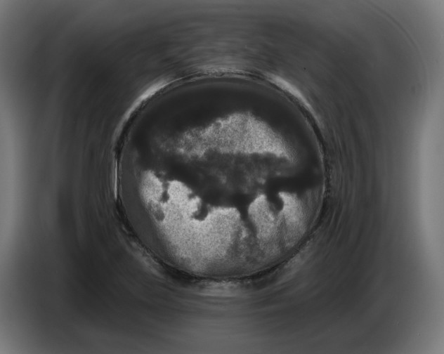 X0000086731219200705041341