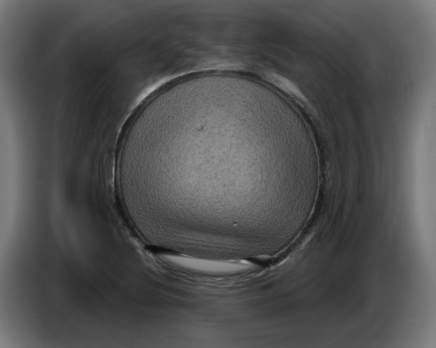 X0000086731220200705041341