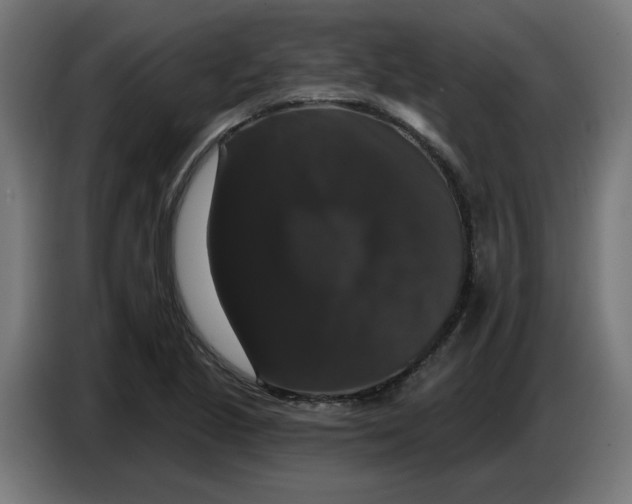 X0000086731221200705041341