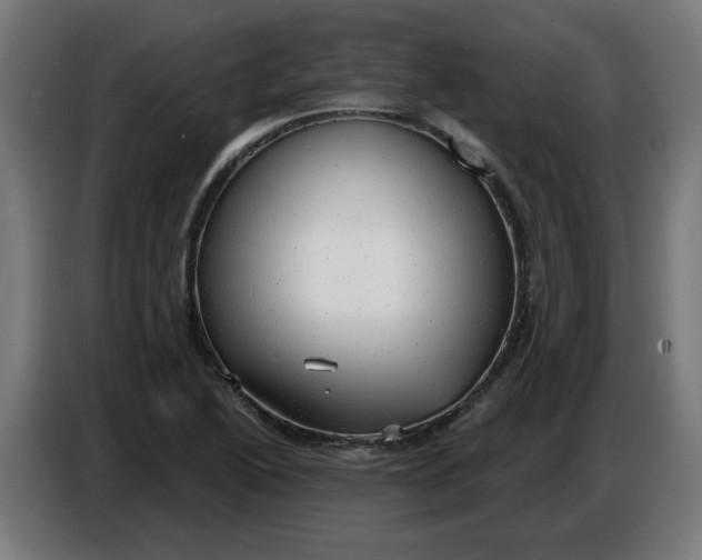 X0000086731222200705041341