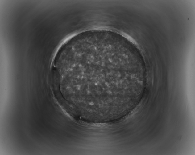 X0000086731223200705041341