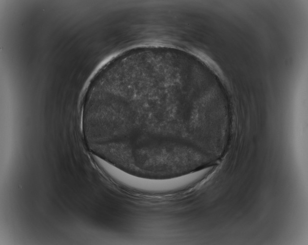 X0000086731224200705041341