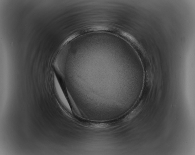 X0000086731225200705041341