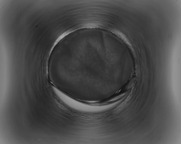 X0000086731226200705041341