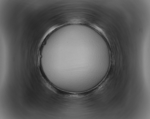 X0000086731227200705041341