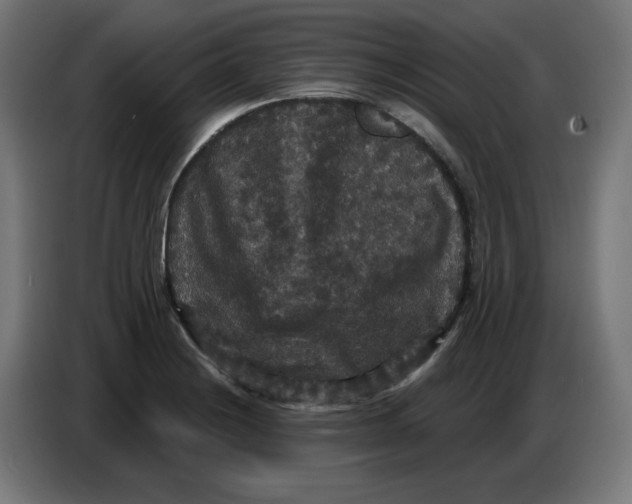 X0000086731228200705041341