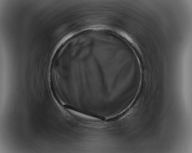 X0000086731229200705041341