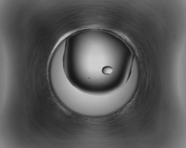 X0000086731230200705041341