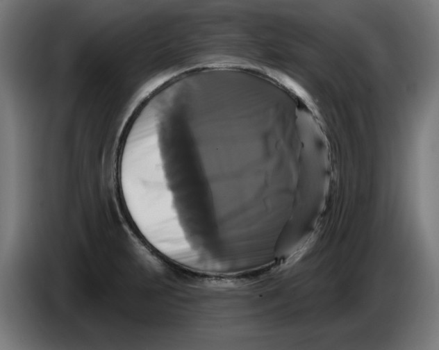 X0000086731231200705041341