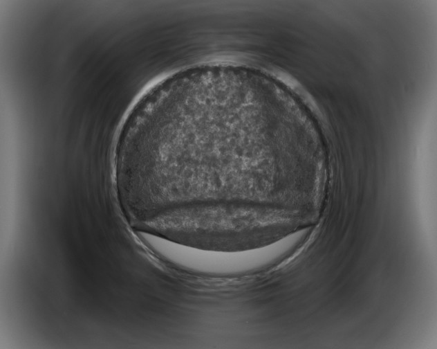 X0000086731232200705041341