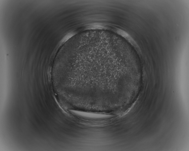 X0000086731233200705041341