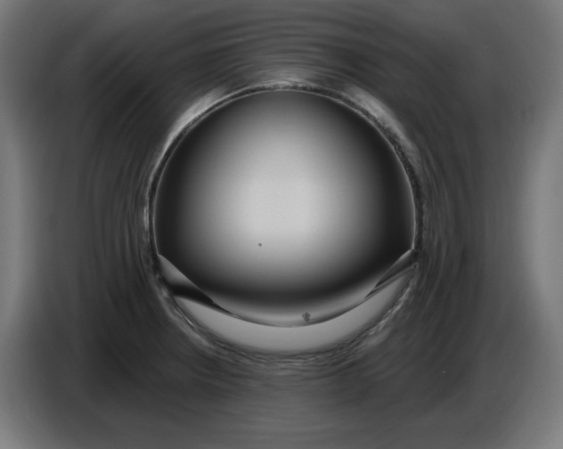 X0000086731234200705041341