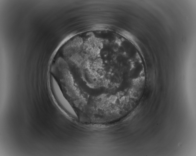 X0000086731235200705041341