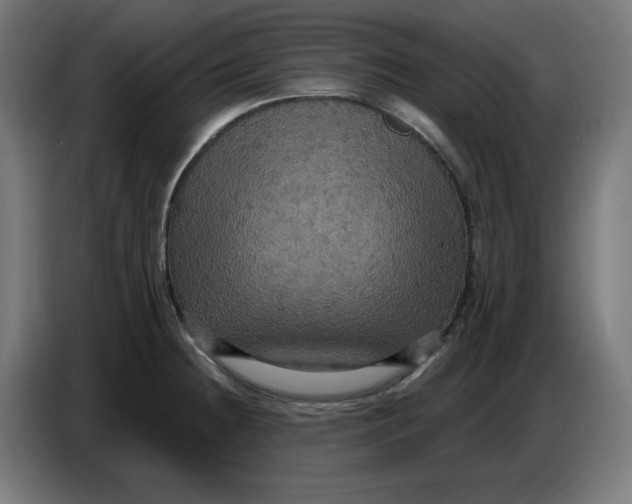 X0000086731236200705041341