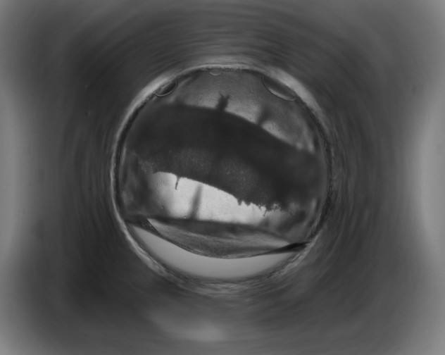 X0000086731237200705041341