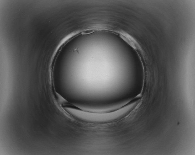 X0000086731238200705041341