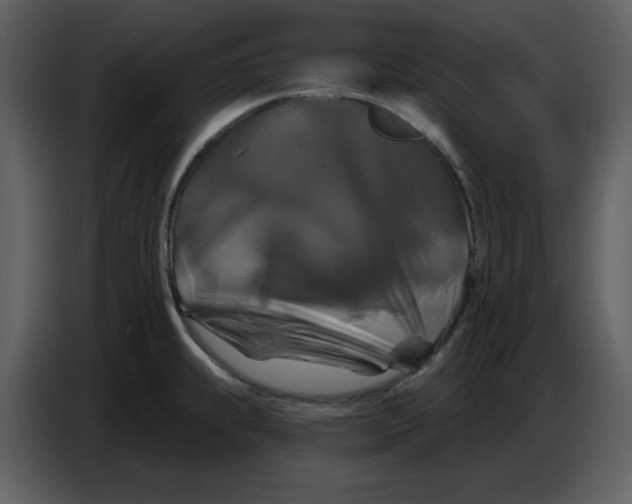 X0000086731239200705041341