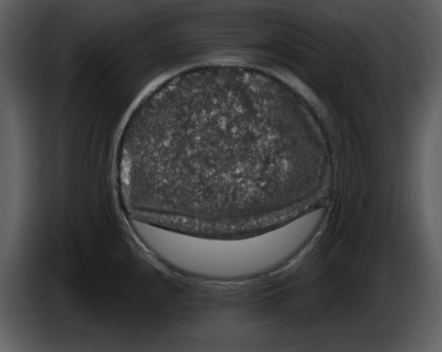 X0000086731240200705041341