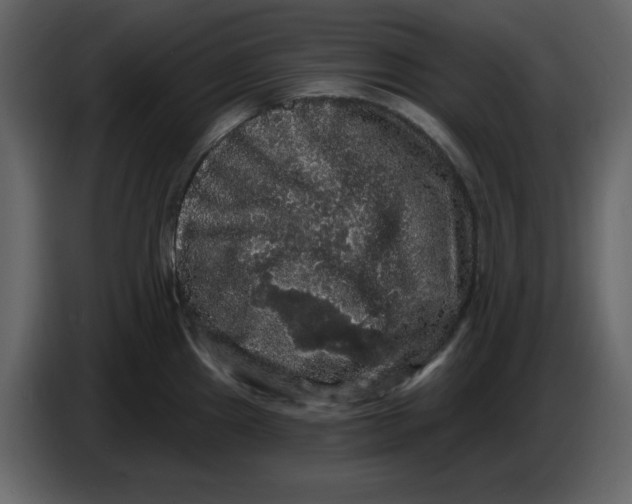 X0000086731241200705041341