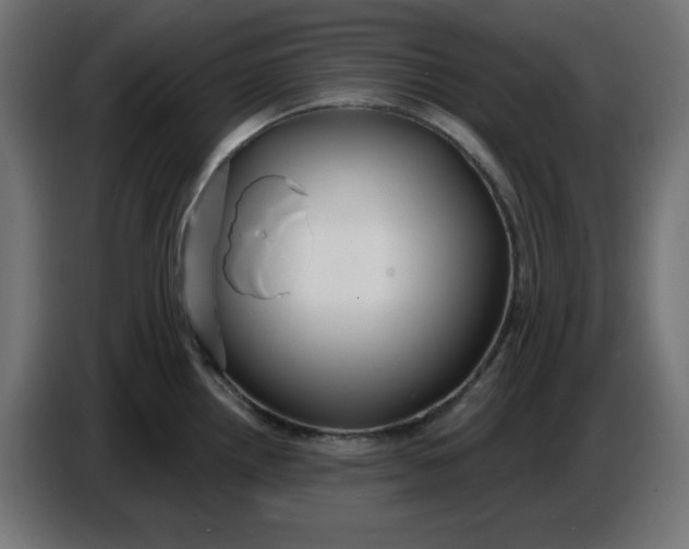 X0000086731242200705041341