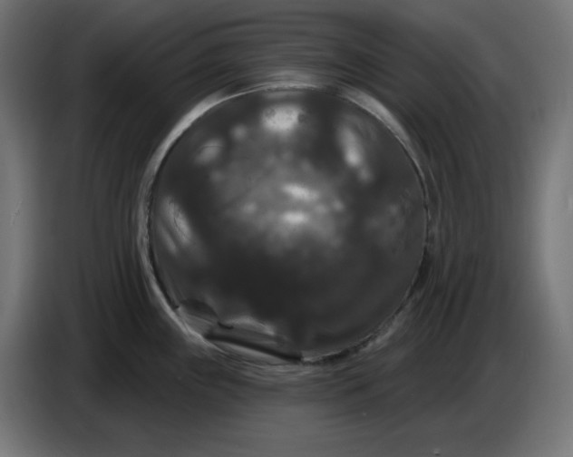 X0000086731243200705041341