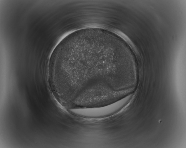 X0000086731244200705041341