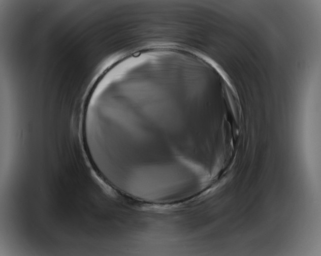 X0000086731245200705041341