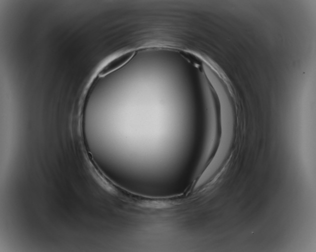 X0000086731246200705041341