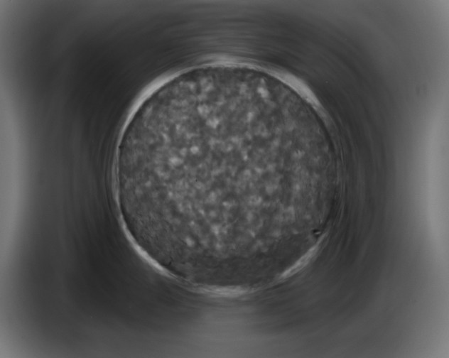 X0000086731247200705041341