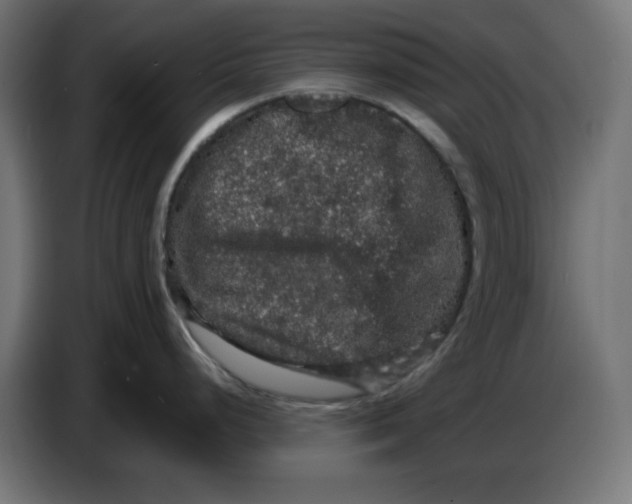 X0000086731248200705041341