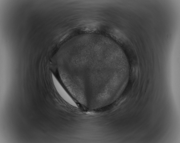 X0000086731250200705041340