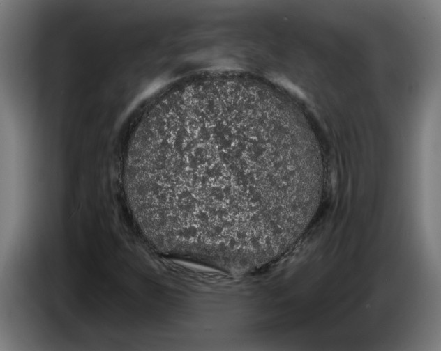 X0000086731255200705041340