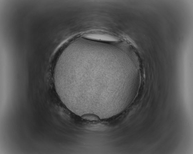 X0000086731256200705041340