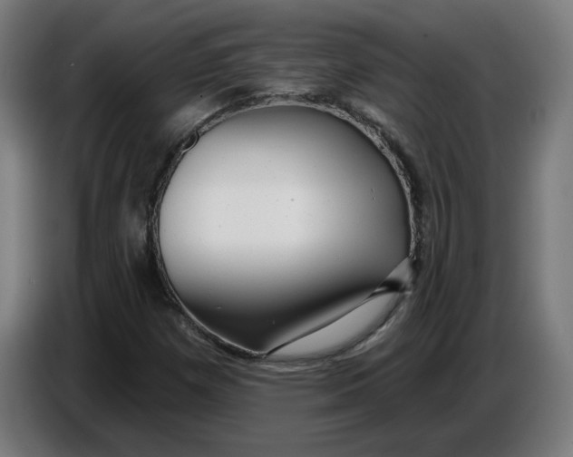 X0000086731257200705041340